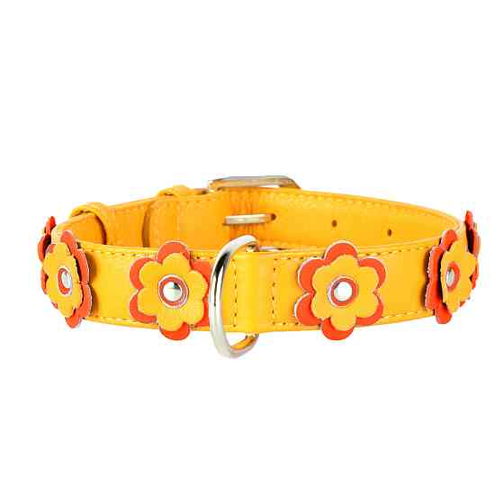 Нашийник "CoLLaR GLAMOUR" з оздобленням "Аплікація" (ширина 35мм, довжина 46-60см) жовтий Київ