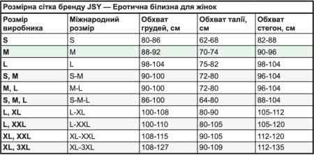 Високий пояс із підв'язками для панчіх стрінги та панчохи в комплекті S/M Sex Aura Київ