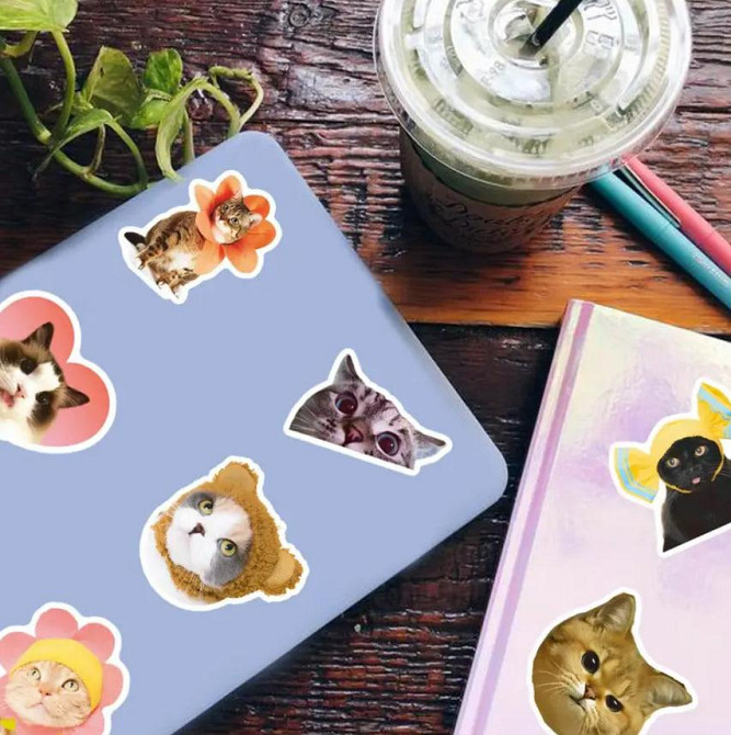 Наклейки Стікери Коти - Водонепроникні Вінілові Естетичні Наклейки з Котами для Пляшки Води, Комп'ют Київ - фото 3