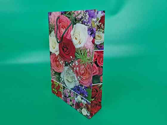 Большой бумажный пакет вертикальный  25/37/8(артBV-123) (12 шт) Харьков