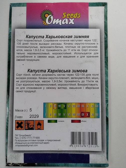 Капуста "Харківська Зимова" 5 гр Харків - фото 2