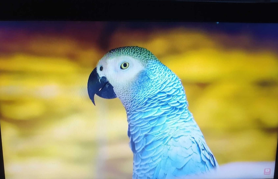 Ноутбук: HP PROBOOK 650 G1. Київ - фото 2