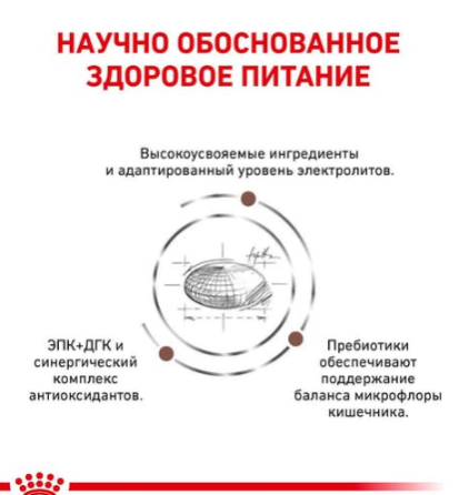 Royal Canin Gastrointestinal (Роял Канін Гастро-Інтестинал) сухий корм для собак у разі розладів травлення Запоріжжя