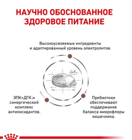 Royal Canin Gastrointestinal (Роял Канін Гастро-Інтестинал) сухий корм для собак у разі розладів травлення Запоріжжя - фото 2