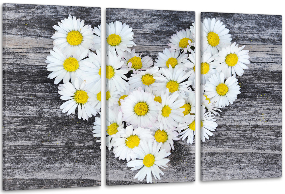 Модульна картина Ромашки серце Art-72_3А 100x150 см Київ - фото 1