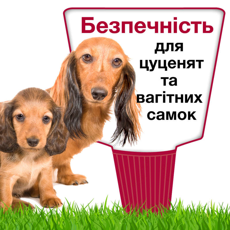 Краплі для собак 10-25 кг проти бліх і кліщів Bayer Elanco Advantix (Байєр Адвантис) 4 піпетки по 2.5 мл Запоріжжя - фото 4