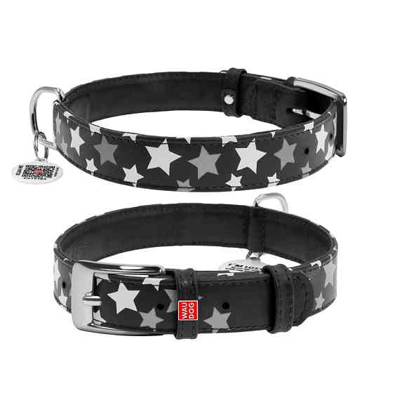 Нашийник для собак шкіряний WAUDOG Glamour з QR паспортом, візерунок "Зірочка", світлонакопичув Коломия