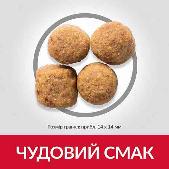 Hills Science Plan Canine Adult Large Breed Lamb&Rice (Хіллс Ягня) корм для собак 1-5 років великих порід 25+14 кг. Запоріжжя