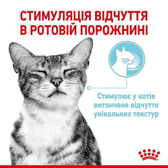 Вологий корм для дорослих котів ROYAL CANIN SENSORY FEEL GRAVY шматочки у соусі 85г, стимулює відчуття корму Київ