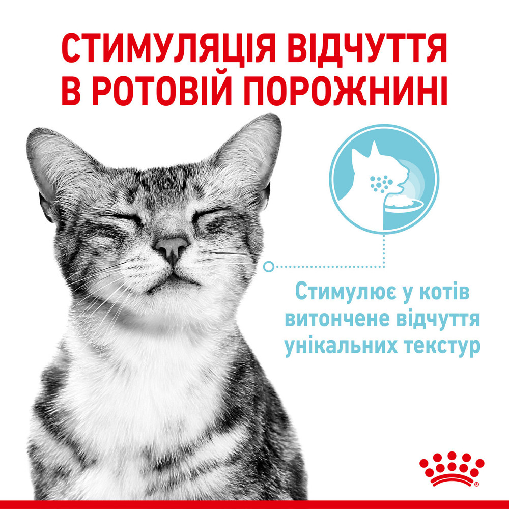 Влажный корм для взрослых кошек ROYAL CANIN SENSORY FEEL GRAVY кусочки в соусе 85г, стимулирует ощущение корма Киев - изображение 3
