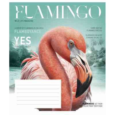 Зошит Школярик Fauna magazine 12 аркушів клітинка (012-3428K) Вінниця