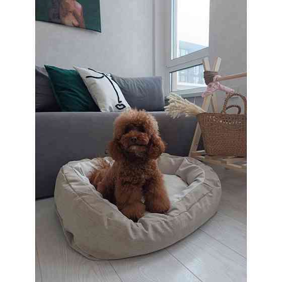 Лежак для собак и кошек Incor Donut бежевый Киев