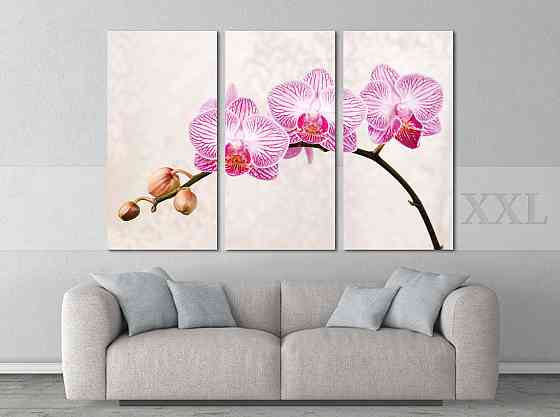 Модульна картина Квіти Орхідея Art-138_XXL Київ