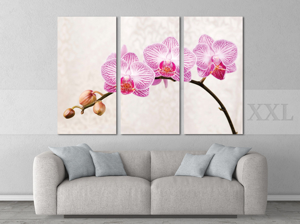 Модульная картина Цветы Орхидея Art-138_XXL Киев - изображение 2