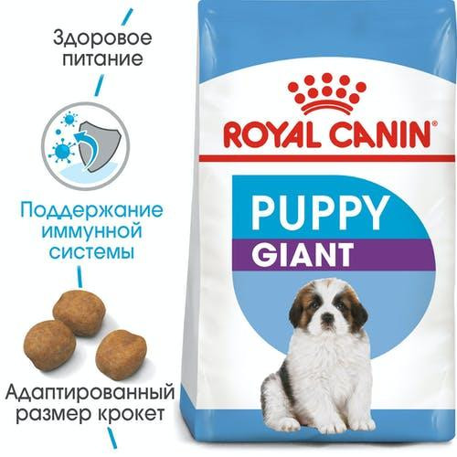 Royal Canin Giant Puppy (Роял Канін Джайнт Паппі) сухий корм для цуценят дуже великих порід Запоріжжя - фото 2