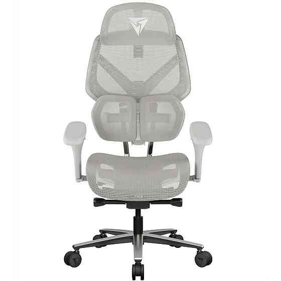 Крісло для геймерів TX3 Flex Pro Mesh Light Grey (TEGC-3076104.42) ( 13227 ) Харків