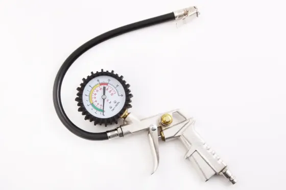 Пневмат для покачки з маном до 16атм. Elegant блістер (шланг 33см) Вінниця