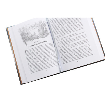 Книга Сказання про дітей Гуріна - Джон Р. Р. Толкін Астролябія (9786176641957) Вінниця - фото 11