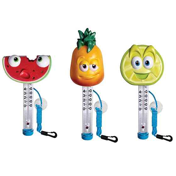 Термометр для бассейна Kokido TM06DIS/C Ананас Киев