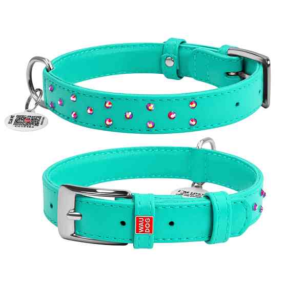 Нашийник для собак шкіряний WAUDOG Glamour з QR паспортом, з клейовими стразами, Ш 25 мм, Дов 3 Коломыя