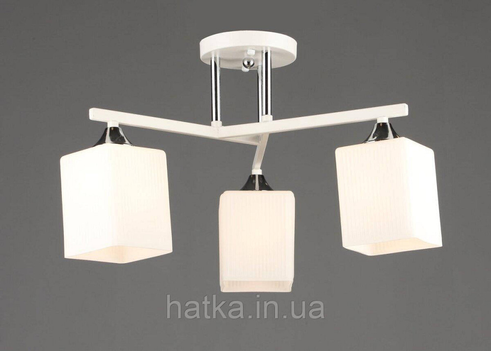 B N6788/3 WT+CH Киев - изображение 1