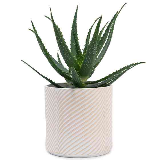 elemi Кашпо для квітів керамічне elemi "Листок" (білий + бежевий) 19" круглий 4,5 л Коломыя