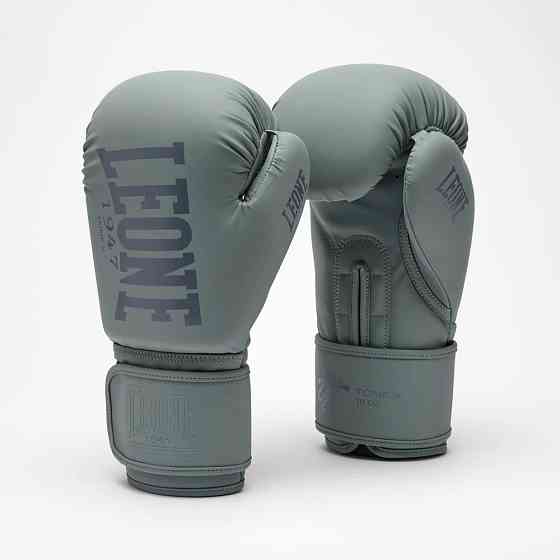Боксерські рукавиці Leone GN058 TONE X Light grey 16 унцій Кам'янське