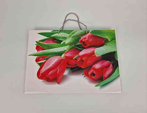 Паперовий пакет горизонтальний гігант 46*33*15 (артGG-001) (12 шт.) Харків