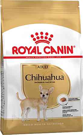 Корм для дорослих собак породи Чихуахуа ROYAL CANIN CHIHUAHUA ADULT 0.5 кг Київ