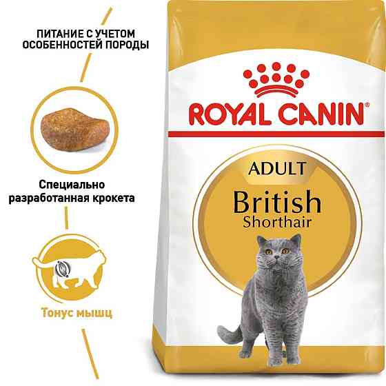 Royal Canin British Shorthair Adult (Рояв Канін Брітіш Шортхайр) корм для кішок британська короткошерсна 2 кг. Запоріжжя