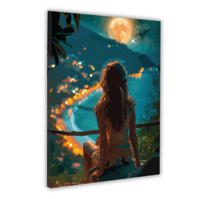 Картина по номерам Santi Дівчина і нічне місто, 40*50см, LED підсвітка (955088) Винница - изображение 1