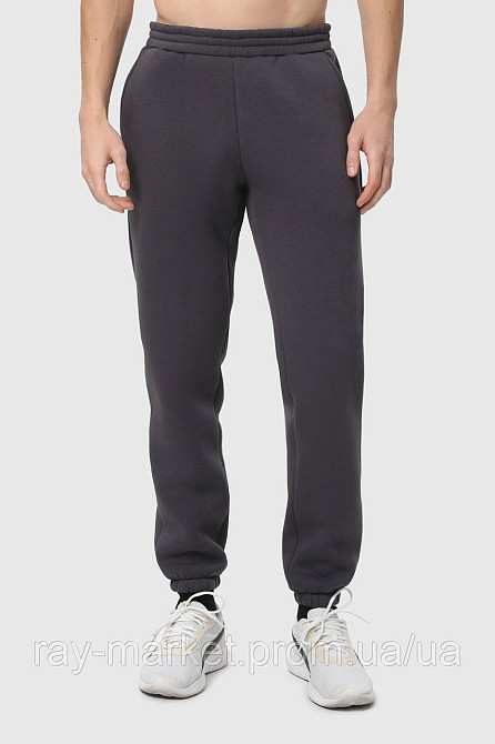 Штани чоловічі утеплені темно-сірі RAY BASIC U0901 (U0901M-Dark Grey) L Київ - фото 1