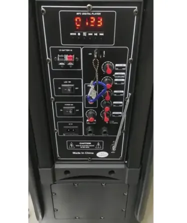 Портативная колонка Su-Kam 1010 + 2 микрофона + BT 12v220v Коломыя