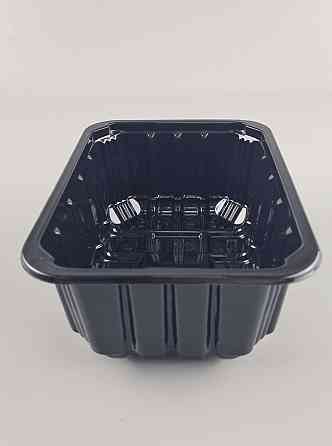 Харчові паковання поліпропіленова на М-3 (187х137х75) чорний полімерний (50 шт.) Харків