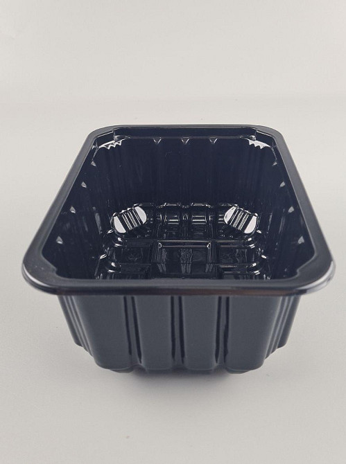 Пищевые упаковки полипропиленовая на М-3 (187х137х75) черный полимерный (50 шт) Харьков - изображение 2