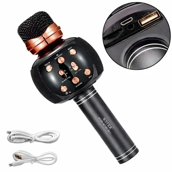 Беспроводной караоке микрофон с динамиком 5 тембров USB AUX FM Wster WS-2911 Коломыя