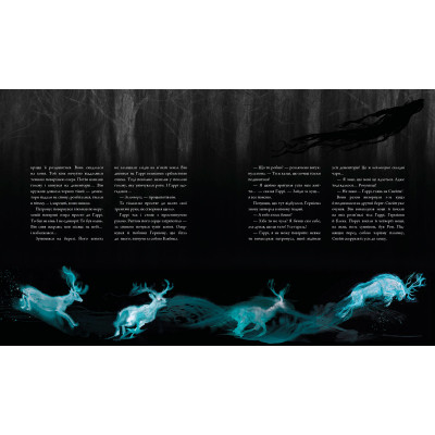 Книга Гаррі Поттер і в'язень Азкабану. Велике ілюстроване видання - Джоан Ролінґ А-ба-ба-га-ла-ма-га (9786175851319) Винница - изображение 4