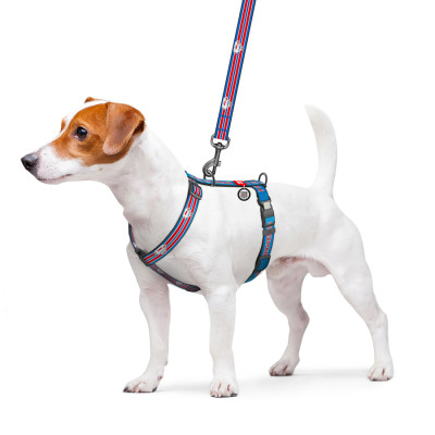 Шлей для собак WAUDOG Nylon H-образная с QR-паспортом "Супермен Ретро", светоотражающая S (343-1082) Винница - изображение 4