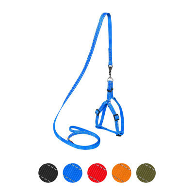 Шлей для собак Dog Extreme из нейлона регулируемая с поводком Ш 15 мм В:40-55 см голубая (07032) Винница - изображение 1