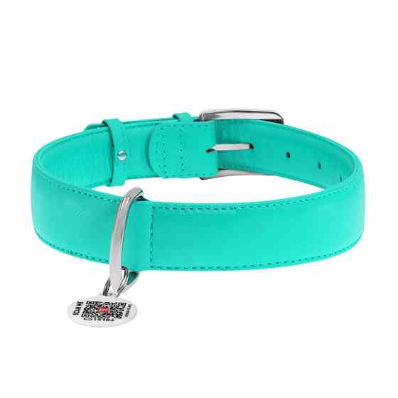 Нашийник для собак шкіряний WAUDOG Glamour з QR паспортом, без прикрас, XL, Ш 35 мм, Дов 46-60 Коломия