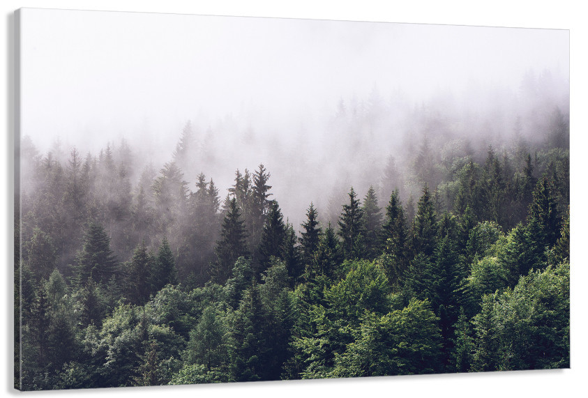 Картина полотно у вітальню / спальню  Природа Ліс   MLP_381 ( 60х30см ) 90х180см Київ - фото 1