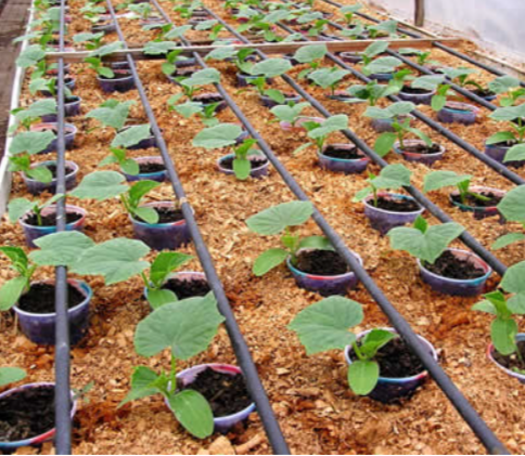 Лента капельная 7 mil шаг 20 см бухта 1000 метров эмитерная Shadow Днепр - изображение 10