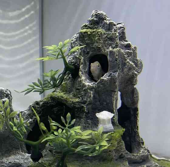Декор для аквариума Скала аквариумный пейзаж размер 17 на 22 на 9 см смола зеленый С ДЕФЕКТОМ Киев