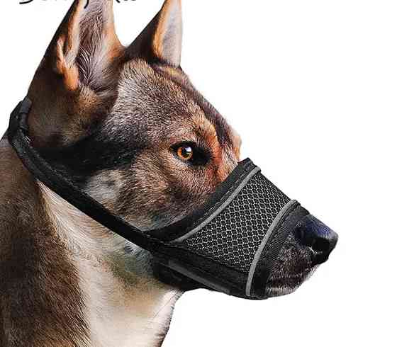Намордник сітка для собак розмір XL Луцк