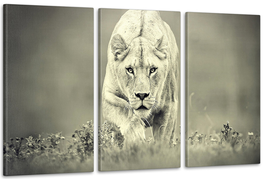 Модульная картина Природа Тигр (53x100см)  Аrt-207_3А Киев - изображение 1