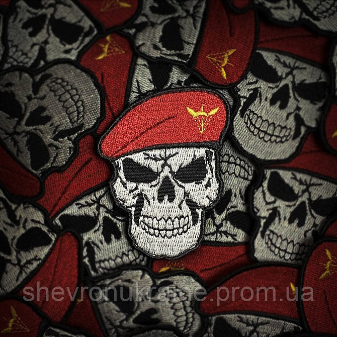 Шеврон череп ДШВ (Форма контурна. На липучці) Розмір 8x6см Київ - фото 1