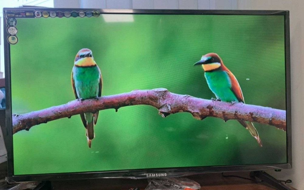 Телевизор: 55