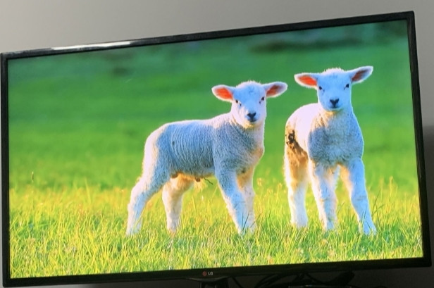 Телевизор LG 50