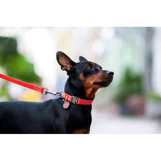 Нашийник для собак водостійкий WAUDOG Waterproof c QR паспортом, металічна пряжка-фастекс, Ш 20 Коломыя