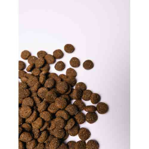 Корм сухий Savory Junior Large rich in Fresh Turkey and Chicken для молодих собак великих порід від 25 кг зі свіжою індичкою Київ